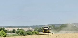 El FEGA publica los importes provisionales de las ayudas a superficie de la PAC 2026