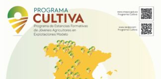 Castilla y León ofrece un tercio de las estancias formativas del Programa Cultiva 2026