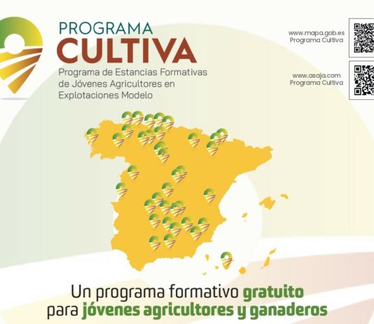 Castilla y León ofrece un tercio de las estancias formativas del Programa Cultiva 2026