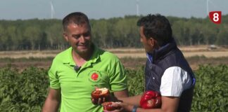 Campo Palentino TV | 17/9/2026