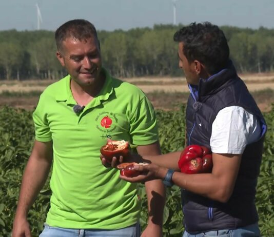Campo Palentino TV | 17/9/2026
