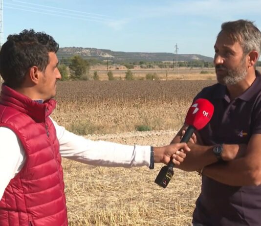 Campo Palentino TV | 24/9/2026