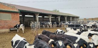 El Parlamento Europeo dicta que las granjas no son industrias contaminantes