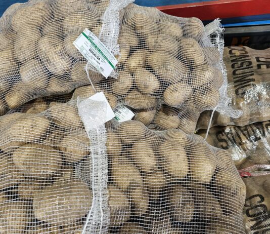 Sube 20 euros la patata, 2 euros el centeno y un euro la cebada en León