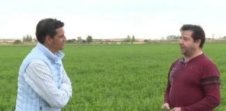 Campo Palentino TV | 1/10/2026