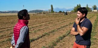 Campo Palentino TV | 15/10/2026
