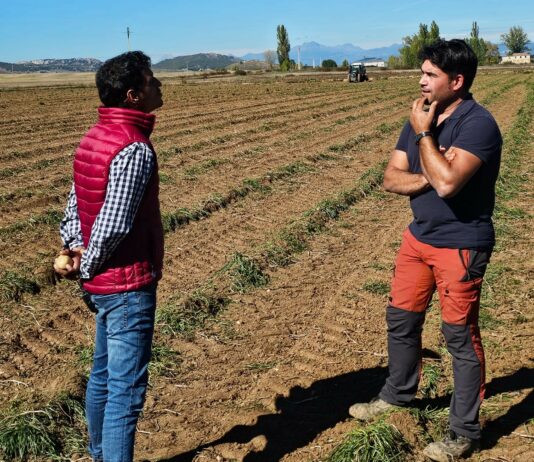 Campo Palentino TV | 15/10/2026