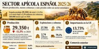 La producción de miel cae un 11,5% y España pierde 360.000 colmenas desde 2020