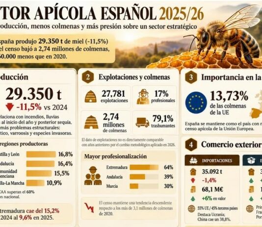 La producción de miel cae un 11,5% y España pierde 360.000 colmenas desde 2020