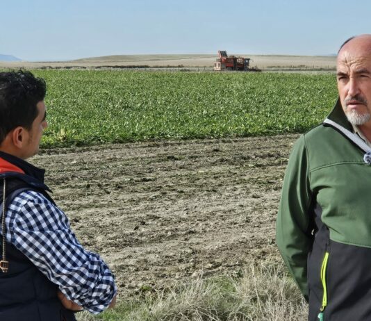 Campo Palentino TV | 29/10/2026
