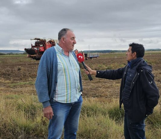 Campo Palentino TV | 8/10/2026