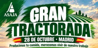 ASAJA y COAG de Palencia animamos a los agricultores y ganaderos palentinos a ir a la gran tractorada de Madrid el 28 de octubre