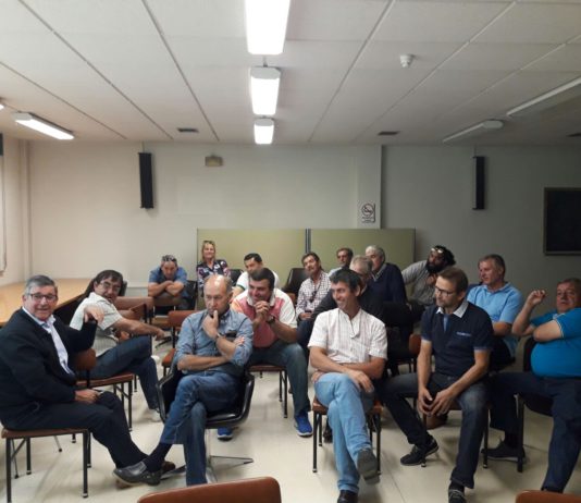 Los buitres se saldan con la vida de 14 ovejas e hieren a 10 más en Guadapero