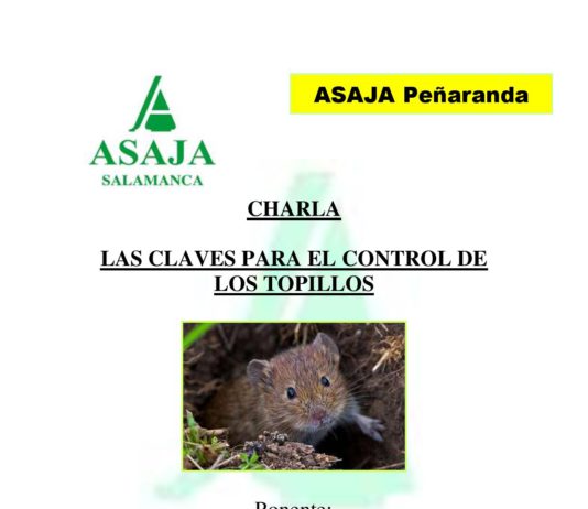 LAS CLAVES PARA EL CONTROL DE LOS TOPILLOS