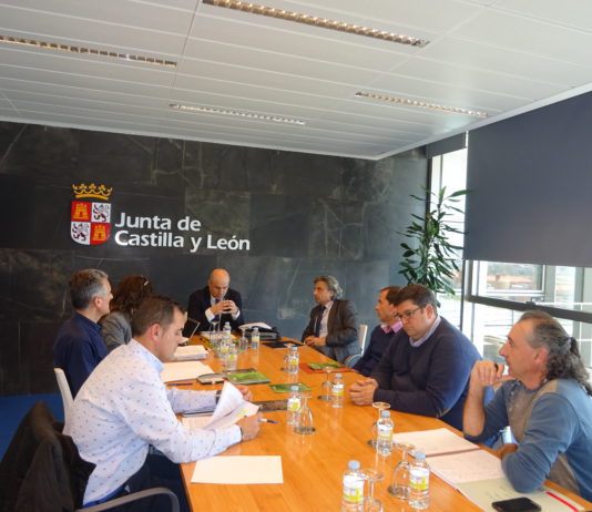 La Junta habilitará un canal virtual para informar al ganadero sobre procedimientos de tuberculosis bovina