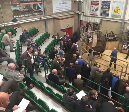 Salamanca acogerá el próximo año la Asamblea General de la Asociación Europea de Mercados de Ganado