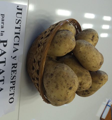 ASAJA Salamanca solicita una reacción de la Administración ante la caótica situación que vive el sector de la patata