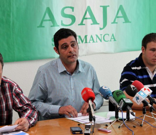 ASAJA Salamanca cifra en un 58% la bajada de la cosecha de trigo y de un 45% en la cebada en la provincia
