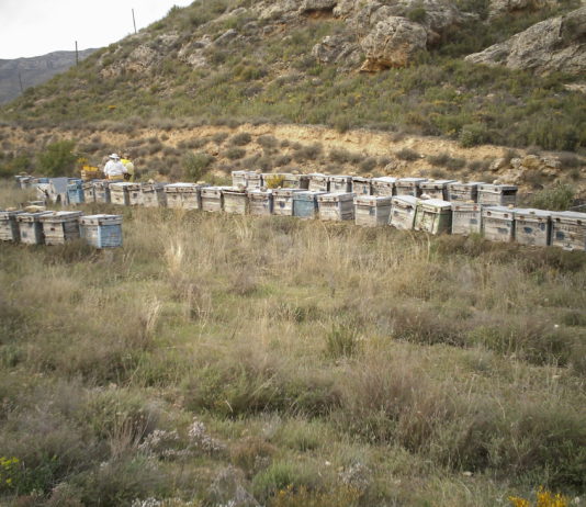 El TSJ de Castilla y León falla en favor de los apicultores salmantinos gracias a la lucha de ASAJA Salamanca