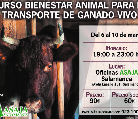 Abierto el plazo para el curso de bienestar animal para el transporte