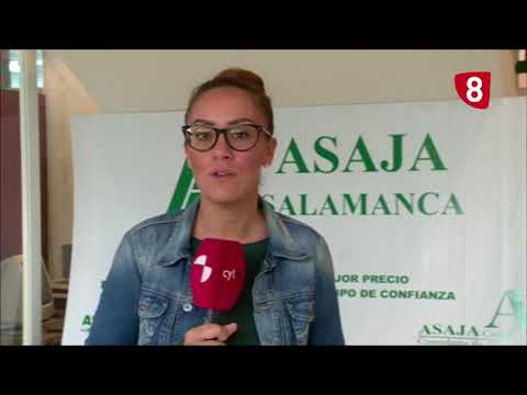 Campo Salmantino 178