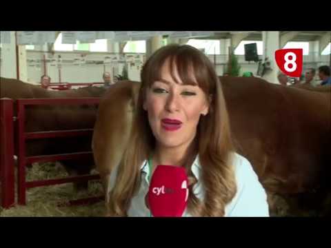 Campo Salmantino 173