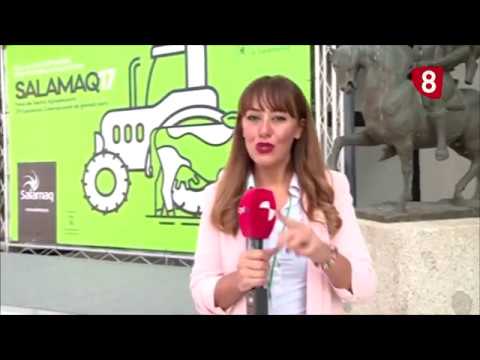 Campo Salmantino 172