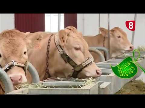 Campo Salmantino 171