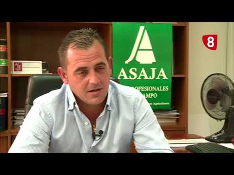 Campo Salmantino 170