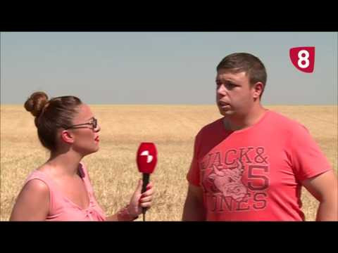 Campo Salmantino 161