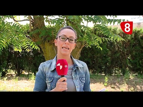 Campo Salmantino 158