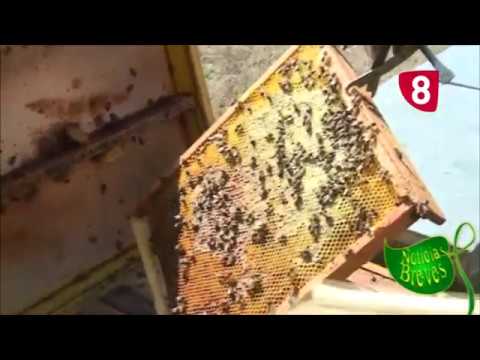 Campo Salmantino 150