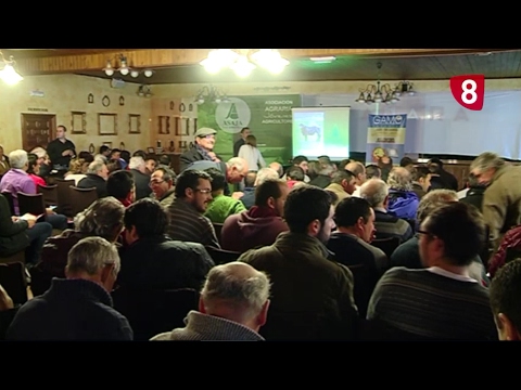 Campo Salmantino 147