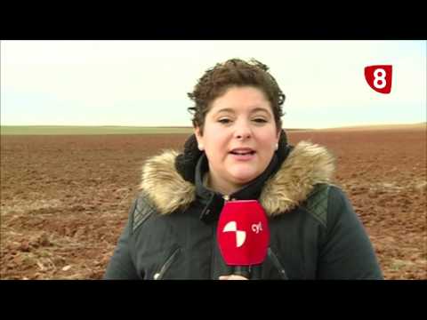 Campo Salmantino 146