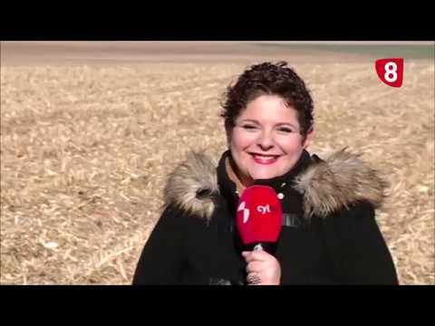 Campo Salmantino 143