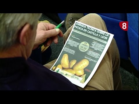 CAMPO SALMANTINO 142