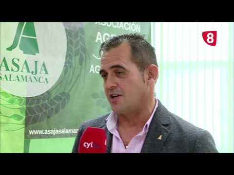 Campo Salmantino 139