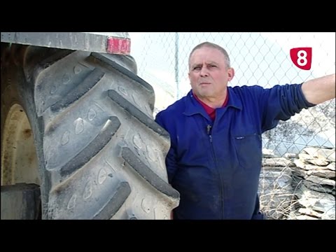 Campo Salmantino 136