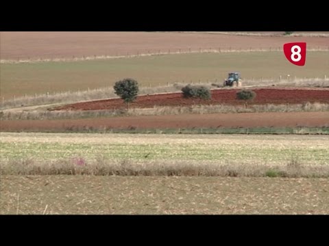 Campo Salmantino 135