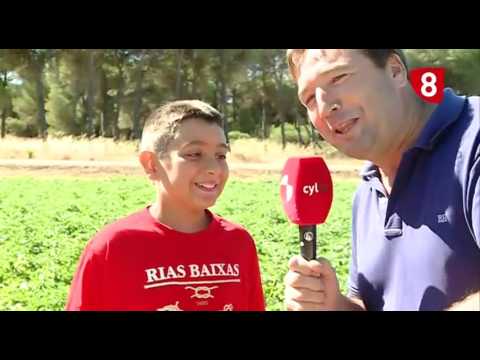 Campo Salmantino 122