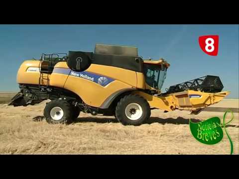 Campo Salmantino 119