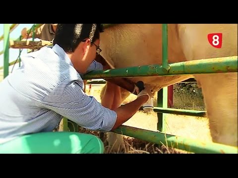 Campo Salmantino 118