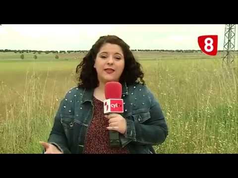 Campo Salmantino 117