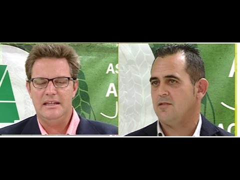 Campo Salmantino 113