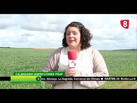 CAMPO SALMANTINO 109