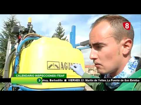 CAMPO SALMANTINO 108