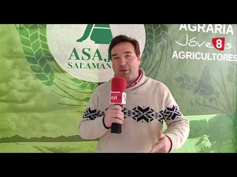 CAMPO SALMANTINO 103