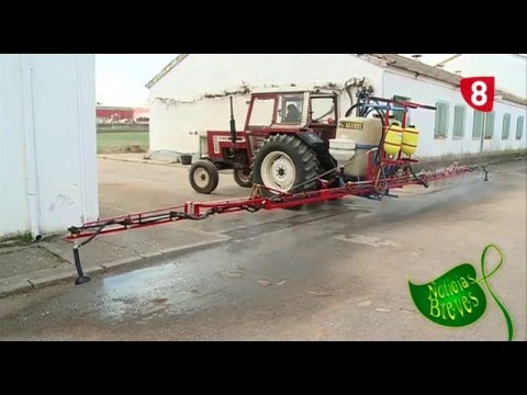 CAMPO SALMANTINO 102