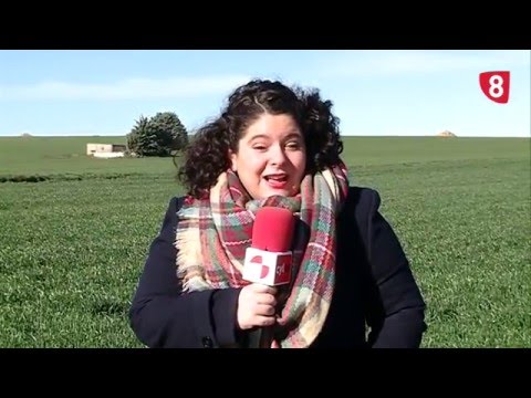 CAMPO SALMANTINO 101