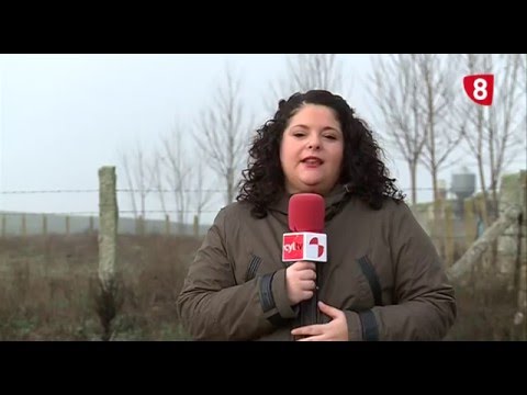 CAMPO SALMANTINO Nº 93